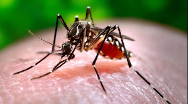 El aire fresco llegó al AMBA y atrae las esperanzas ante la epidemia de dengue