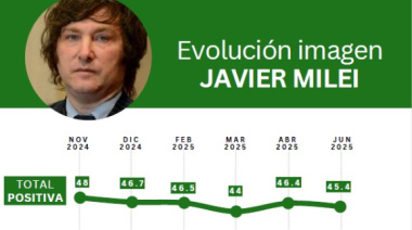 Elecciones legislativas: polarización al límite y votantes en tensión