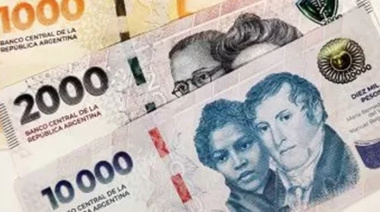 ¿Cómo repartió el Gobierno nacional las transferencias a las provincias?