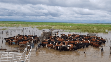 La inundaciones en Buenos Aires resultan en una situación “sumamente crítica”