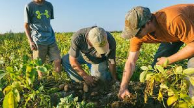 Nación prorrogó por un año la compatibilidad entre planes sociales y trabajo rural temporario
