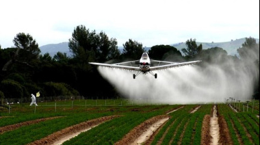 La Suprema Corte bonaerense suspendió de forma preventiva la ordenanza sobre agroquímicos en Tandil