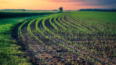 La inteligencia artificial anticipa los nuevos perfiles laborales que demandará el campo argentino