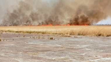 Incendio en la zona del aeropuerto de Bahía Blanca obligó a reprogramar un vuelo