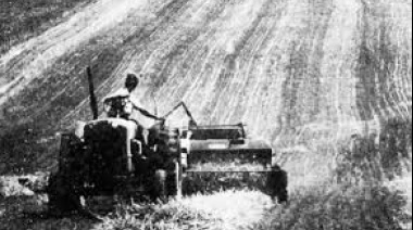 Encuesta Nacional de Febrero: La sociedad resiste el ajuste con la mirada puesta en el "despegue" económico