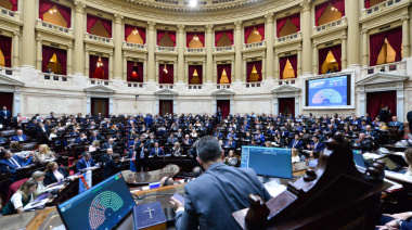 La Cámara de Diputados aprobó y giró al Senado el proyecto de "Ley Hojarasca"