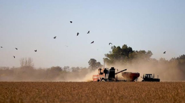 El Gobierno oficializó la baja gradual y permanente de las retenciones al campo