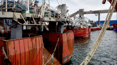 Cámaras empresarias y armadores solicitaron la declaración de emergencia para la pesca fresquera