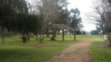 La Municipalidad de Tres Arroyos apoyará la investigación judicial por podas irregulares en el Parque Miedan