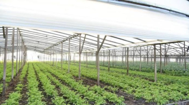 La provincia de Buenos Aires realizará un Censo Hortiflorícola