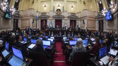 El Senado aprobó en general la Ley de Inviolabilidad de la Propiedad Privada tras retirar los puntos más polémicos