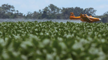 Un informe señala una transferencia negativa hacia el agro argentino internacional