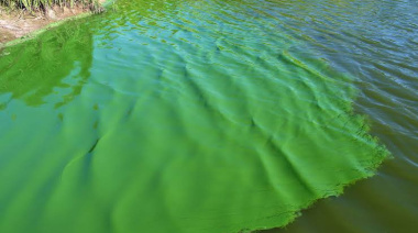  Alerta naranja en 17 municipios bonaerenses por riesgo en el agua