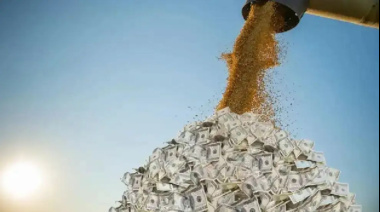 La agroexportación liquidó US$ 2750 millones en agosto y el acumulado del año supera los US$ 19.000 millones