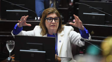 Bullrich admitió que "no sabía" sobre los cambios para Discapacidad