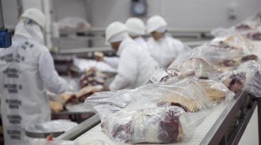 Japón abrió su mercado a la carne vacuna argentina del norte del país tras dos décadas de negociaciones