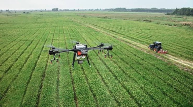 La Justicia de La Plata le ordenó al Gobierno nacional preservar los datos sobre tierras rurales bonaerenses
