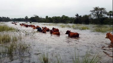 Nación homologó la emergencia agropecuaria por inundaciones en dos partidos bonaerenses