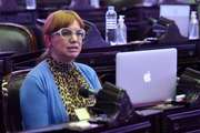 Economía del Conocimiento: Karina Banfi destacó proyecto de ley aprobado