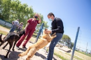 Este verano se comenzará a construir el Hospital Municipal Veterinario