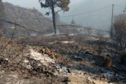Aprobaron la ley que busca evitar la especulación con tierras incendiadas