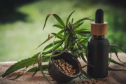 El gobierno bonaerense presentó el proyecto de ley que autoriza el autocultivo de Cannabis