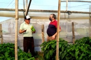 La UTN La Plata comenzará a trabajar en viviendas e invernáculos móviles para el sector frutihortícola