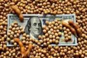“Santa soja, ten piedad de nosotros”, por Carlos Fara