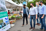 Watson apuesta a "Mercado Activo" para dinamizar la economía