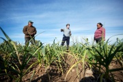Trabajadores de la Tierra lanzarán una red de almacenes de alimentos sanos