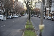 Se completa la forestación en la rambla de avenida 60