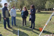 Realizan trabajos de apertura de calles en el SIPA