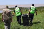 Un lobo Marino perdido en las costas Berisso fue liberado por la Policía Ecológica en Magdalena