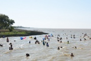 Alerta amarilla en Berisso: presencia de cianobacterias en el agua
