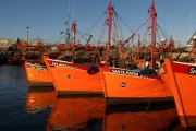 Habilitaron como “corredor seguro” al Puerto de Mar del Plata