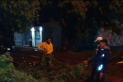 La tormenta pasó por Junín y dejó grandes destrozos