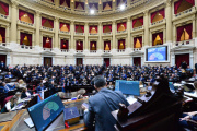 La Cámara de Diputados aprobó y giró al Senado el proyecto de "Ley Hojarasca"