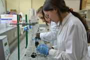 La Provincia impulsa vocaciones científicas con becas de entrenamiento de la CIC
