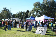 La delegación de Chivilcoy obtuvo distinciones en la Exposición Rural de Palermo