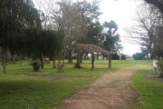 La Municipalidad de Tres Arroyos apoyará la investigación judicial por podas irregulares en el Parque Miedan