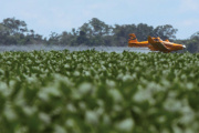 Un informe señala una transferencia negativa hacia el agro argentino internacional