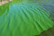  Alerta naranja en 17 municipios bonaerenses por riesgo en el agua