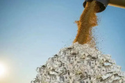 La agroexportación liquidó US$ 2750 millones en agosto y el acumulado del año supera los US$ 19.000 millones