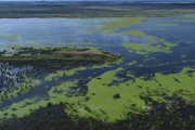La Provincia regula el uso de tierras públicas en islas y crea un registro