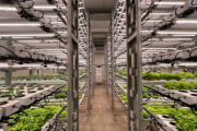 Doce startups AgriFoodTech del Cono Sur presentarán sus proyectos en el Parque de Innovación de Buenos Aires