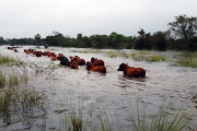 Nación homologó la emergencia agropecuaria por inundaciones en dos partidos bonaerenses