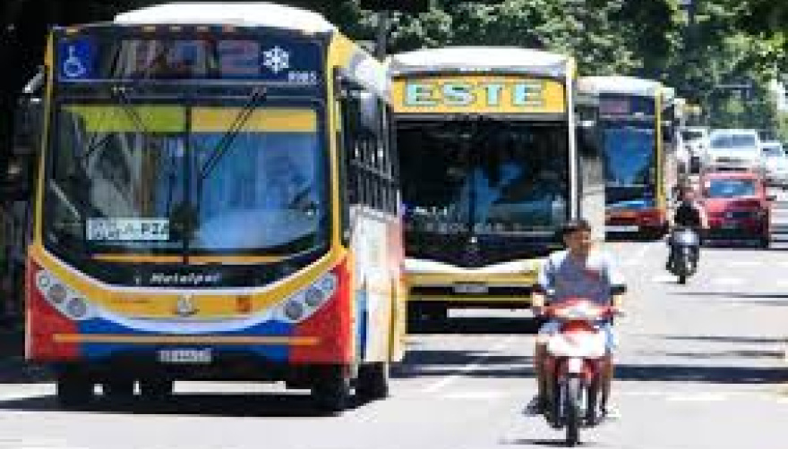 El boleto de micro en La Plata supera la barrera de los $900: rige un nuevo aumento desde marzo