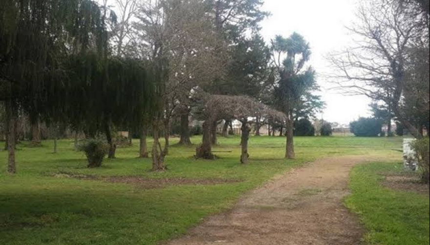 La Municipalidad de Tres Arroyos apoyará la investigación judicial por podas irregulares en el Parque Miedan
